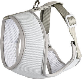 Flamingo - Harnais Small Dog Vert pour Chiens