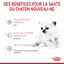 Royal Canin - Lait Baby Cat Milk pour Chaton - 300g Indicateur image numéro 4