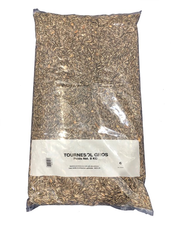 Gasco - Tournesol Gros Strie - 8kg Image numéro 1 Gasco - Tournesol Gros Strie - 8kg Image numéro 1