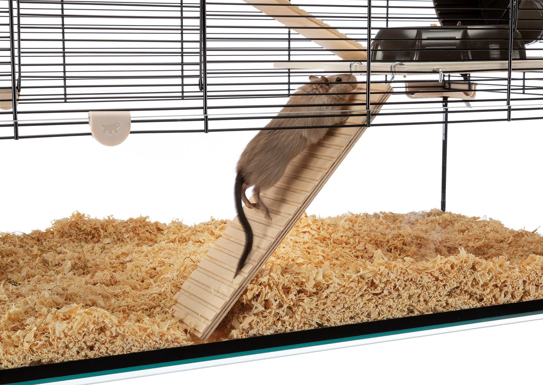 Ferplast Cage Karat 80 pour Petits Rongeurs 45x78x52cm Animalis