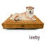 Leeby - Matelas Terra pour Chiens - S Indicateur image numéro 3