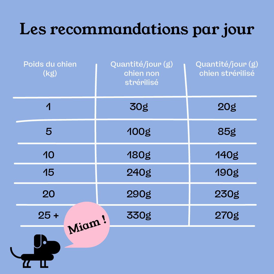 Petty Well - Croquettes Saumon sans C&eacute;r&eacute;ales pour grands Chiens - 12kg Image num&eacute;ro 3