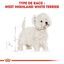 Royal Canin - Croquettes Westie pour Chien Adulte - 3Kg Indicateur image numéro 3