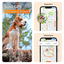 Weenect - Traceur GPS L/XL Edition 2023 pour Chiens - Blanc Indicateur image num&eacute;ro 5