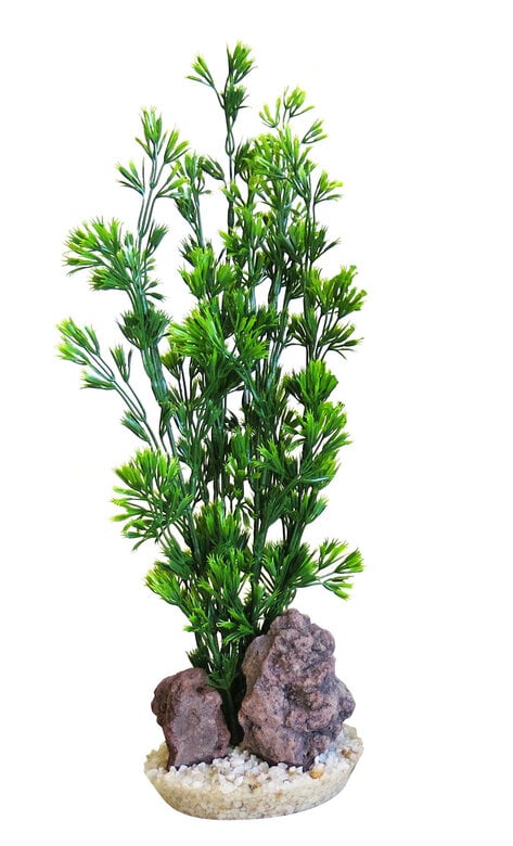 Tyrol - Décoration Plantes Rocher naturel + support pour Aquarium - 32cm Image numéro 1 Tyrol - Décoration Plantes Rocher naturel + support pour Aquarium - 32cm Image numéro 1
