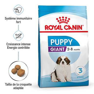 Royal Canin - Croquettes Giant Puppy pour Chiot
