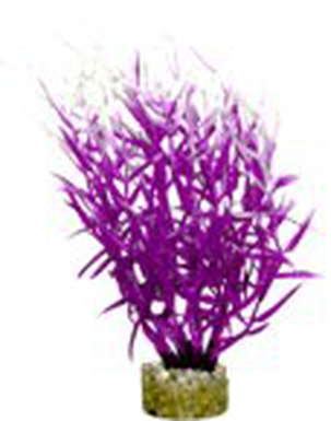 Labeo - Herbe marine colorée - Plante Artificielle Aquarium