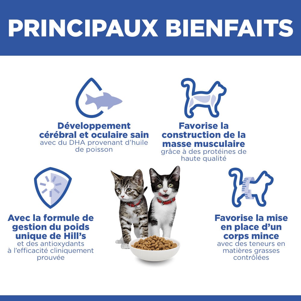Hill's Science Plan - Kitten Sterilised Cat Croquettes Pour Chaton St&eacute;rilis&eacute; Au Poulet  - 300g Image num&eacute;ro 4