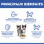 Hill's Science Plan - Kitten Sterilised Cat Croquettes Pour Chaton St&eacute;rilis&eacute; Au Poulet  - 300g Indicateur image num&eacute;ro 4