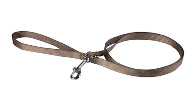 Animalis - Laisse Basic pour Chien Taupe