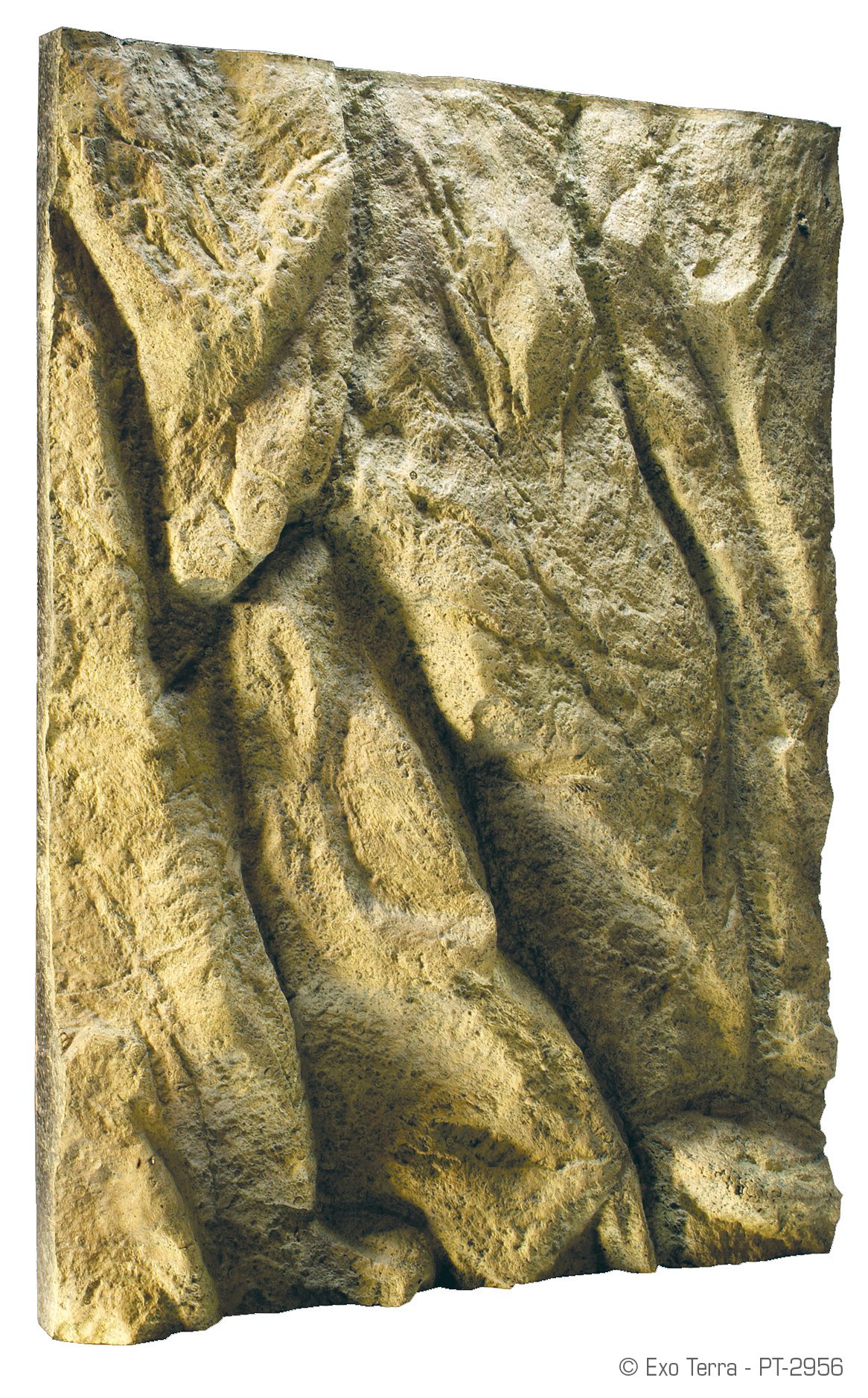 Exo Terra - Fond de D&eacute;cor pour Terrarium - 45x60cm Image num&eacute;ro 1