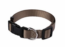 Animalis - Collier Basic pour Chien Taupe