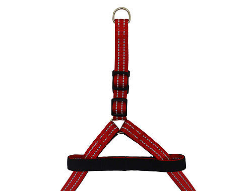 Gotoo - Harnais Essentials en Nylon Premium Rouge pour Chien - XS Image num&eacute;ro 5