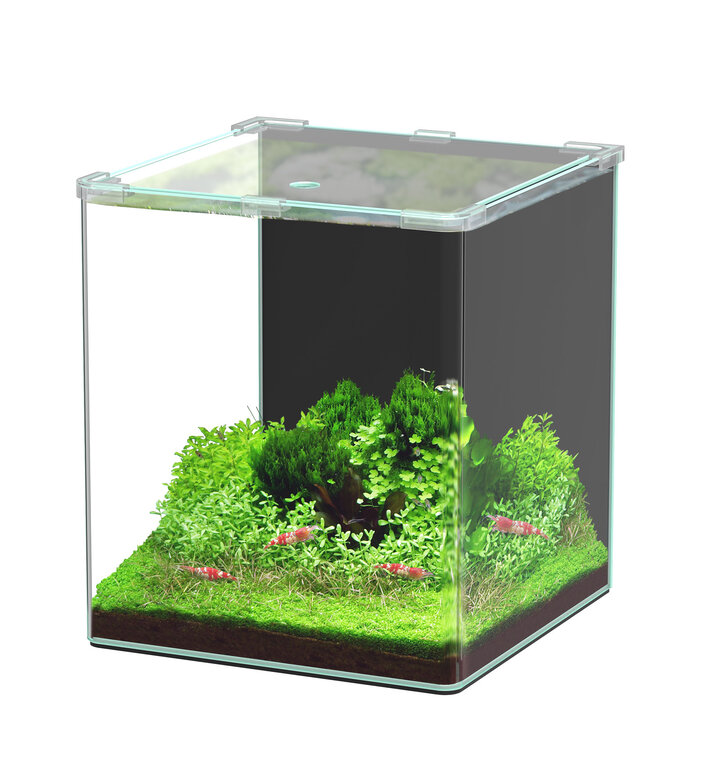Aquatlantis - Aquarium Kubus Curve 30L Basic Image numéro 1 Aquatlantis - Aquarium Kubus Curve 30L Basic Image numéro 1