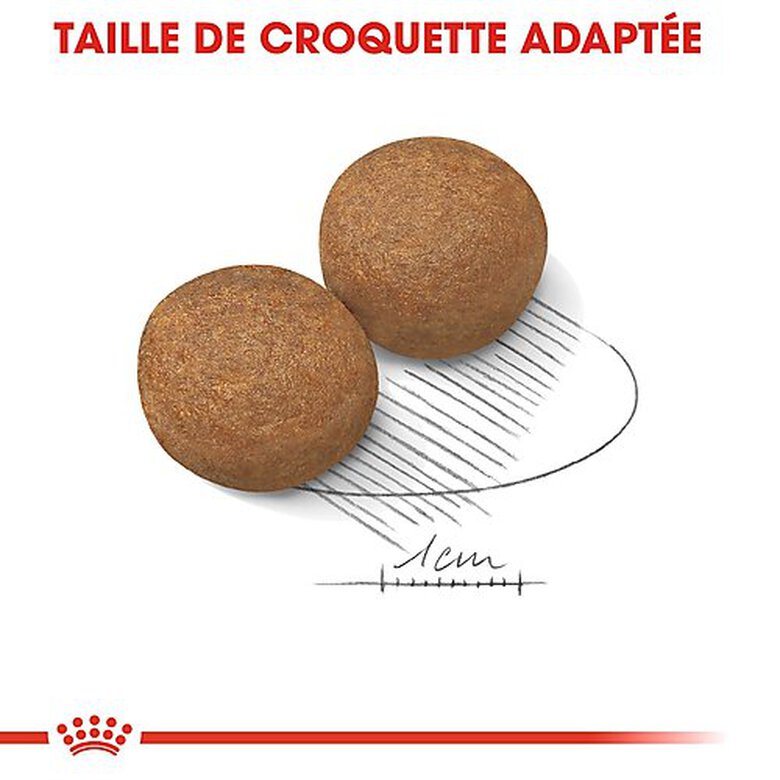 Royal Canin - Croquettes Maxi Adult pour Chien - 15Kg image number null