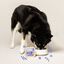 Edgard & Cooper - Barquette au Bœuf et Canard pour Chien - 150g Indicateur image numéro 3
