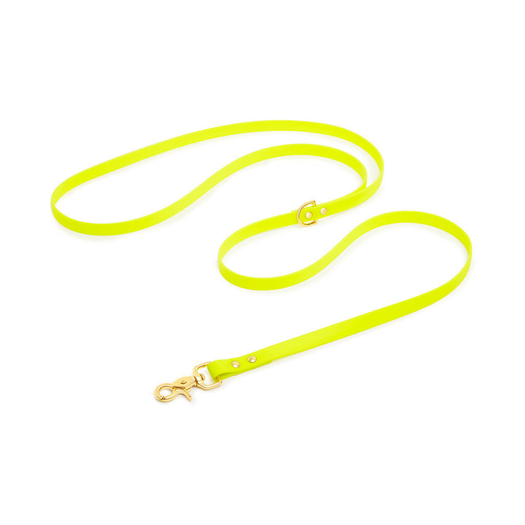 Pop Dog - Laisse Bandouli&egrave;re Joyeux Jaune pour Chien - XS/S Image num&eacute;ro 1