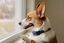 PetSafe - Collier Anti-Aboiement en Spray pour Chien Indicateur image numéro 4