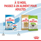 Royal Canin - Croquettes Puppy X-Small pour Chiots - 3Kg image number null