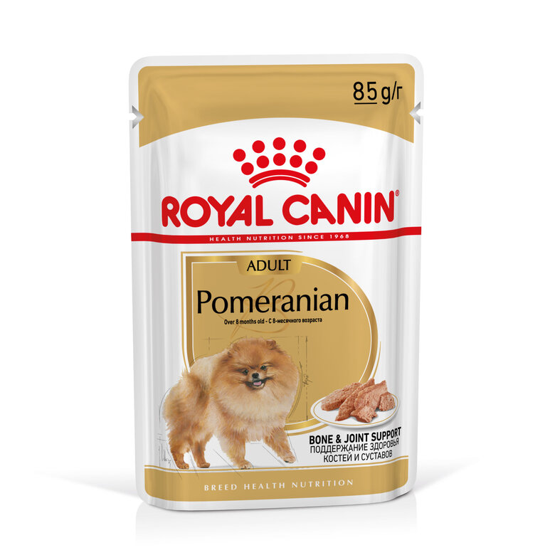 Royal Canin - Sachets Spitz Adult en Mousse pour Chien - 12x85g Image numéro 6 Royal Canin - Sachets Spitz Adult en Mousse pour Chien - 12x85g Image numéro 6