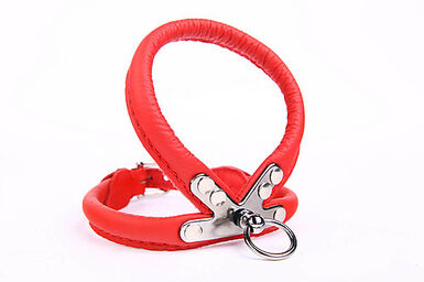 Yogipet - Harnais Cuir pour Chien Rouge