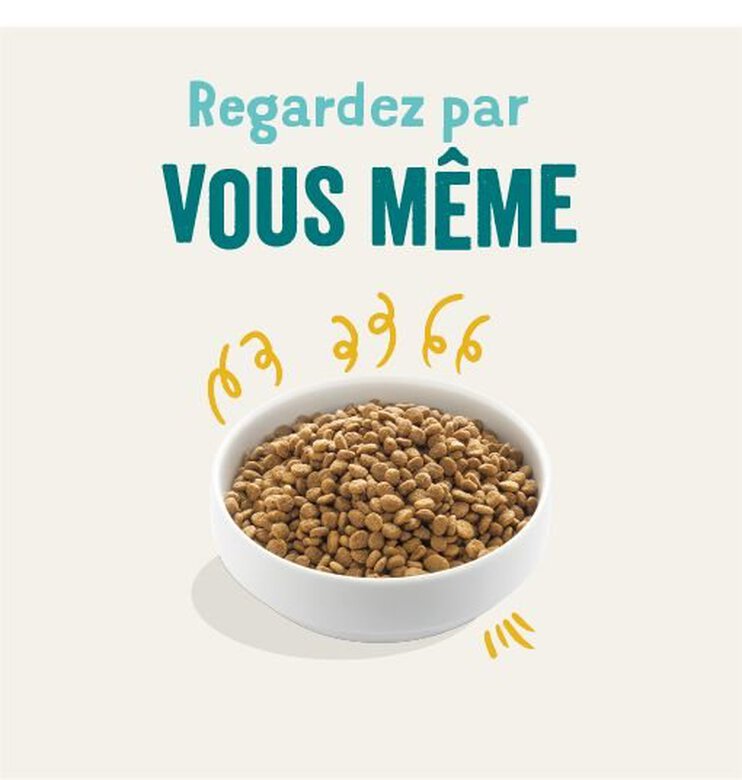 Edgard & Cooper - Croquettes BIO à la Dinde et Poulet pour Chien - 2,5Kg Image numéro 2 Edgard & Cooper - Croquettes BIO à la Dinde et Poulet pour Chien - 2,5Kg Image numéro 2