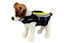Alcott - Gilet de Sauvetage Life Jacket Neon Jaune pour Chien - L Indicateur image numéro 2