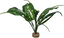 Labeo - Plante Verte Assortie Décorative pour Terrarium Indicateur image numéro 3