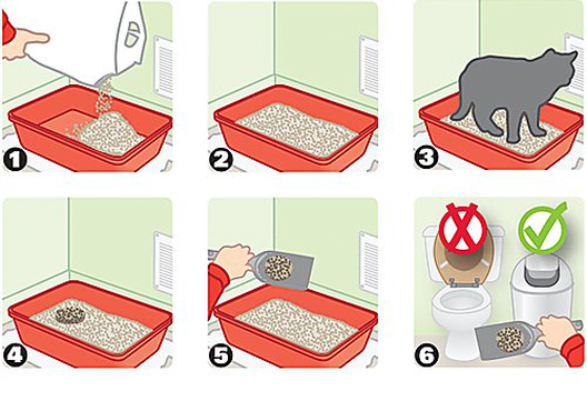 Canada Litter - Litière Agglomérante pour Chats - 12Kg image number null