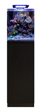 Blue Marine - Meuble Reef 60 Noir pour Aquarium Eau de Mer - 35x45x86cm