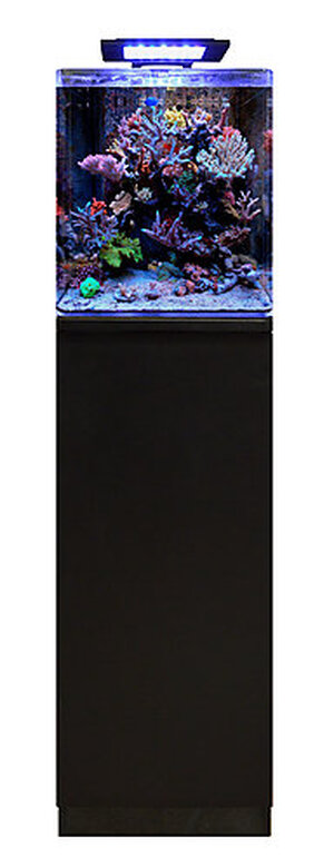 Blue Marine - Meuble Reef 60 Noir pour Aquarium Eau de Mer - 35x45x86cm image number null