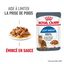 Royal Canin - Sachet Ultra Light en Sauce pour Chat - 12x85g Indicateur image numéro 1