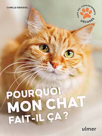 Pourquoi mon chat fait-il ça ?