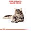 Royal Canin - Sachets Maine Coon en Sauce pour Chat - 12x85g Indicateur image numéro 3