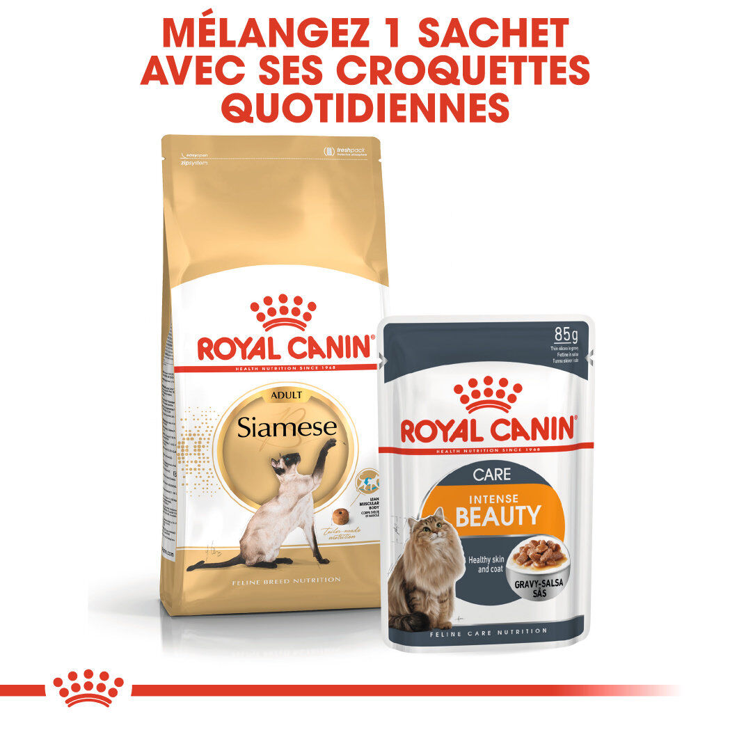 Royal Canin - Croquettes Siamese Adult pour Chats - 2Kg Image num&eacute;ro 5