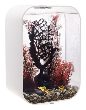 biOrb - Aquarium Life 45 mcr blanc