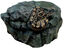 Zoomed - Grotte Repti Shelter pour Reptiles - L Indicateur image numéro 2