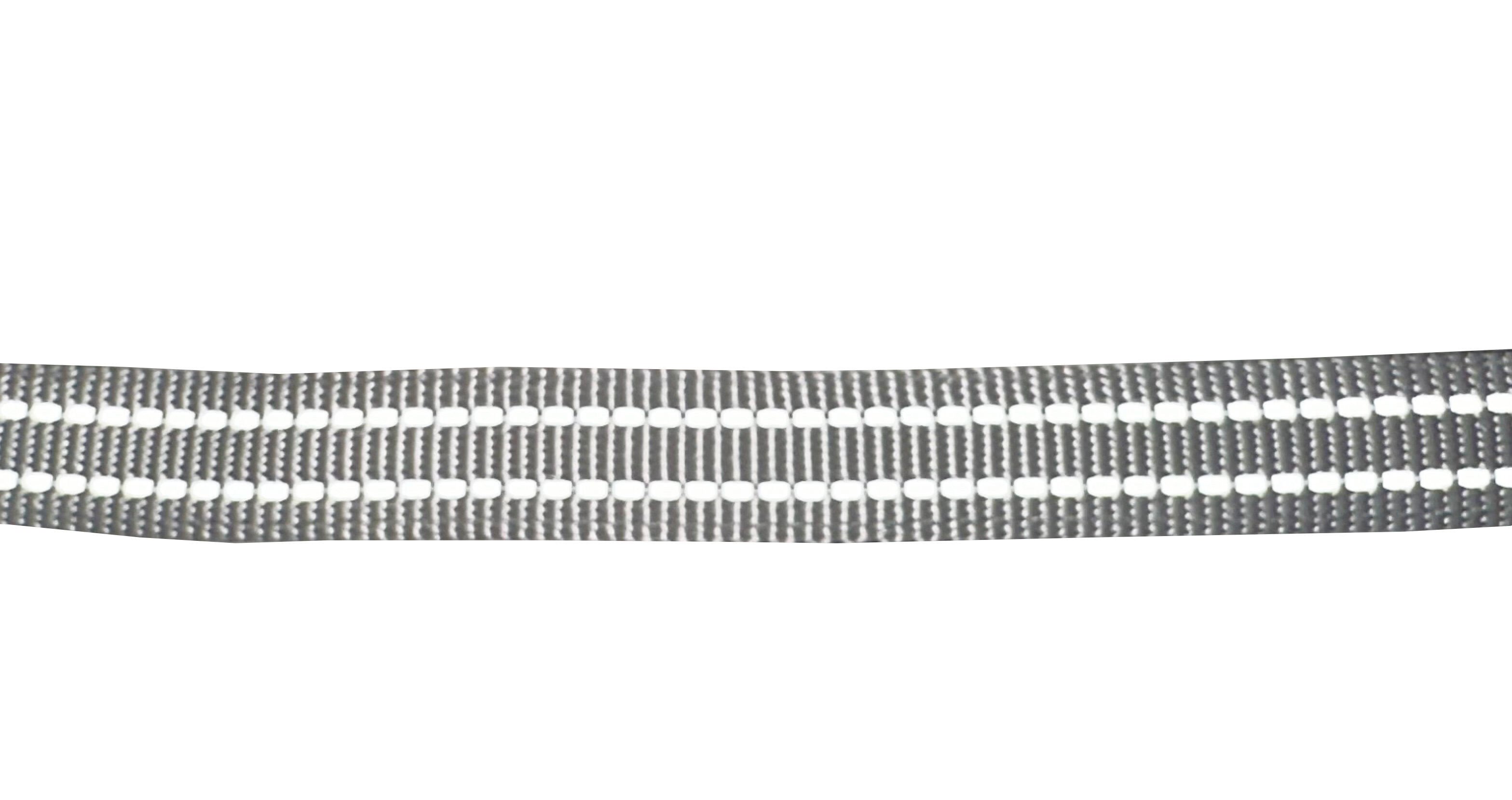 Gotoo - Collier Essentials en Nylon Premium Gris pour Chien - XS Image num&eacute;ro 4