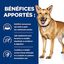 Hill's - Croquettes Prescription Diet I/D Digestive Care pour Chiens - 12Kg Indicateur image numéro 4