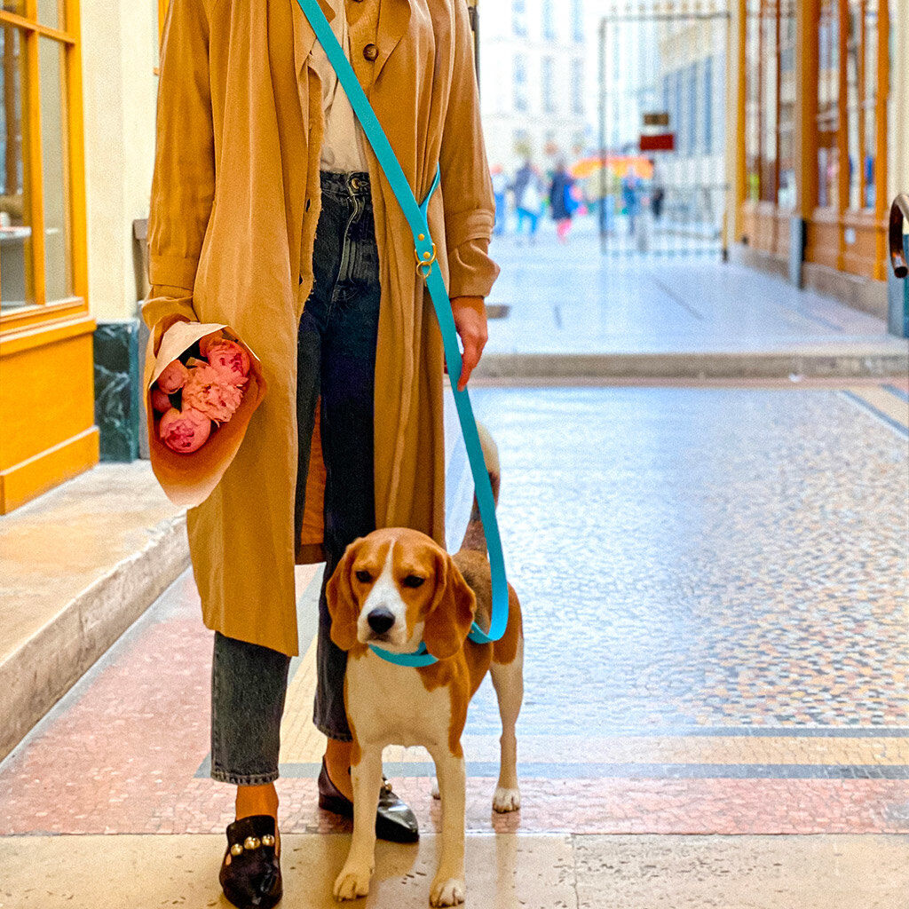 Pop Dog - Collier Dragueur Bleu pour Chien - S Image num&eacute;ro 3