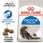 Royal Canin - Croquettes Indoor Long Hair pour Chat - 4Kg Indicateur image numéro 2