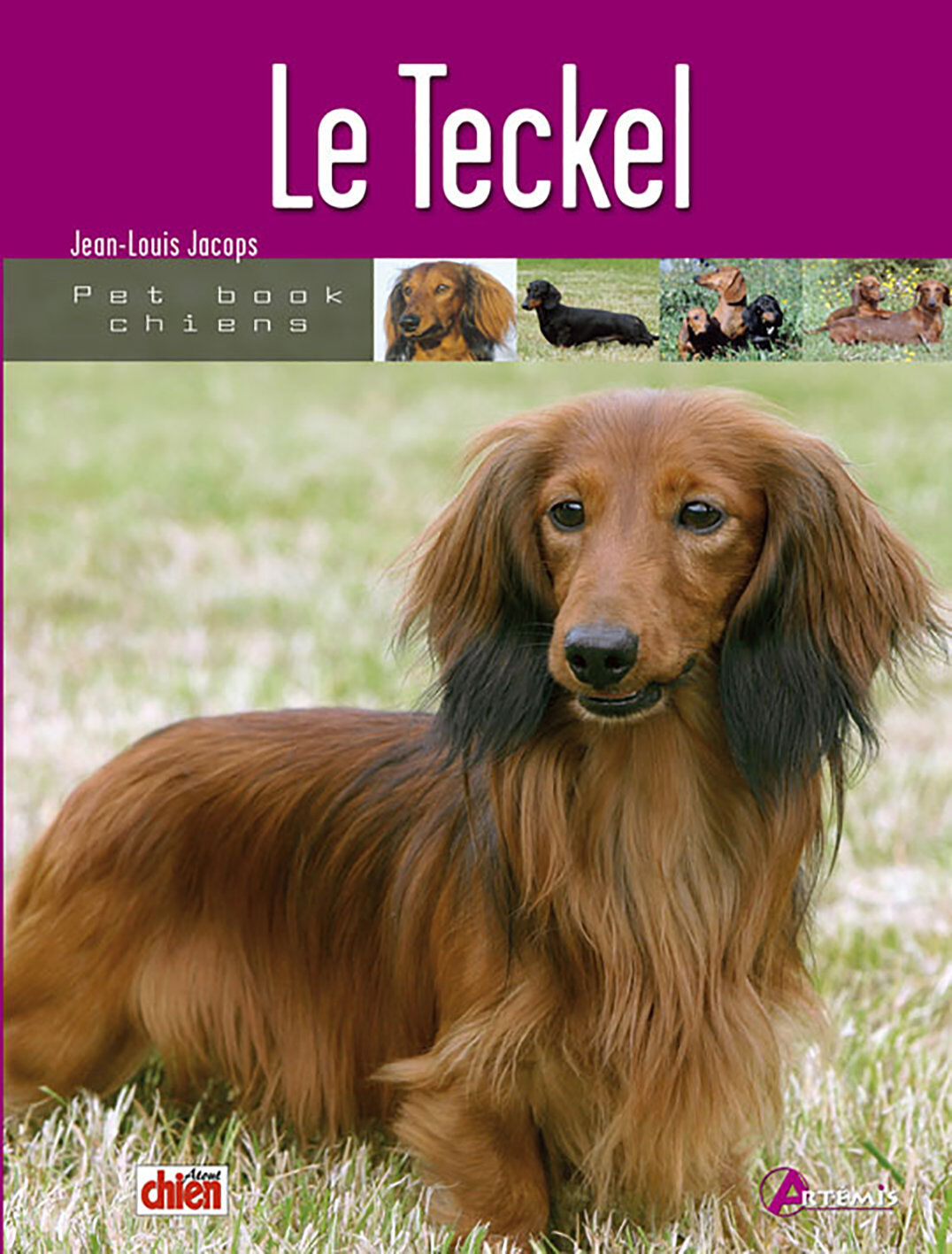Art&eacute;mis - Le Teckel Image num&eacute;ro 1