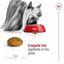 Royal Canin -  Croquettes X SMALL ADULT CHIEN DE TRES PETITE TAILLE - 500G Indicateur image numéro 6