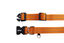 Gotoo - Collier Essentials en Nylon Premium Orange pour Chien - XS Indicateur image numéro 6