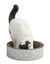 Leeby - Griffoir Funny en Carton Feuilles pour Chats - 40cm Indicateur image numéro 2