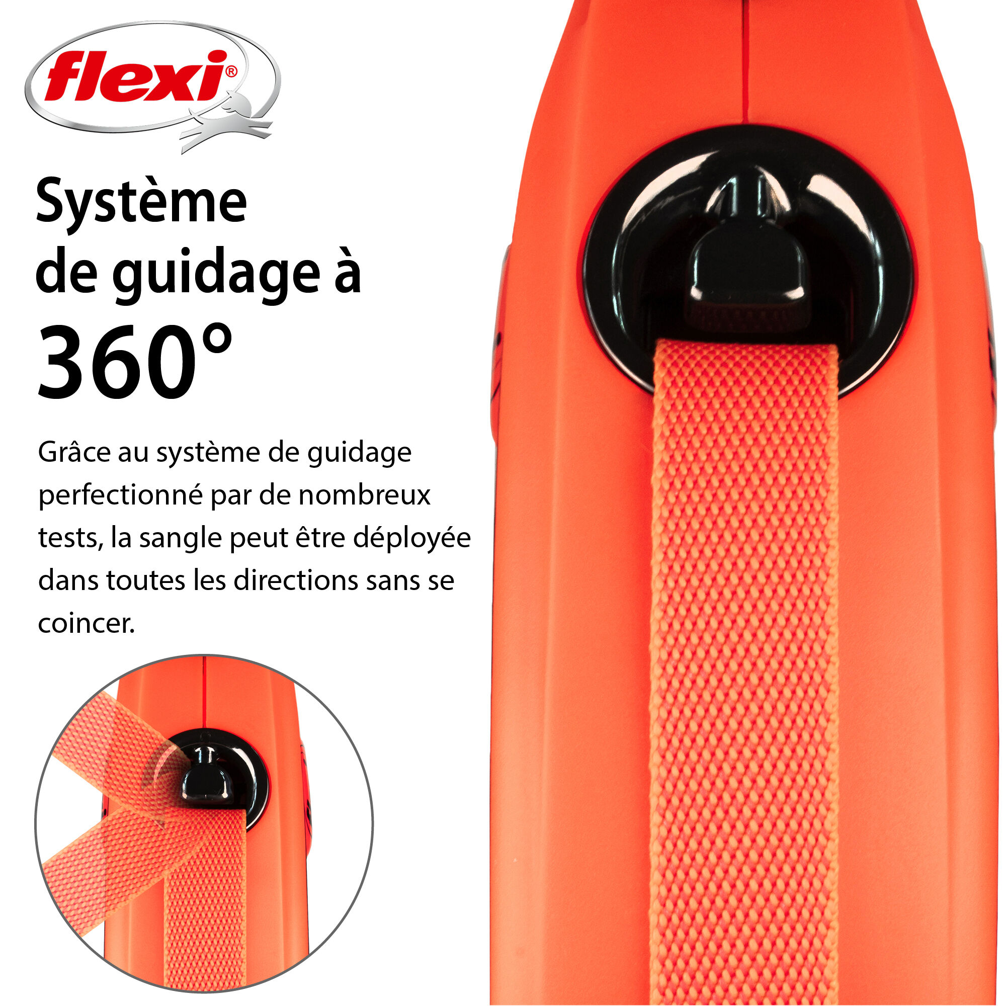 Flexi - Laisse A Enrouleur Xtreme Sangle pour Chien - L Image num&eacute;ro 1