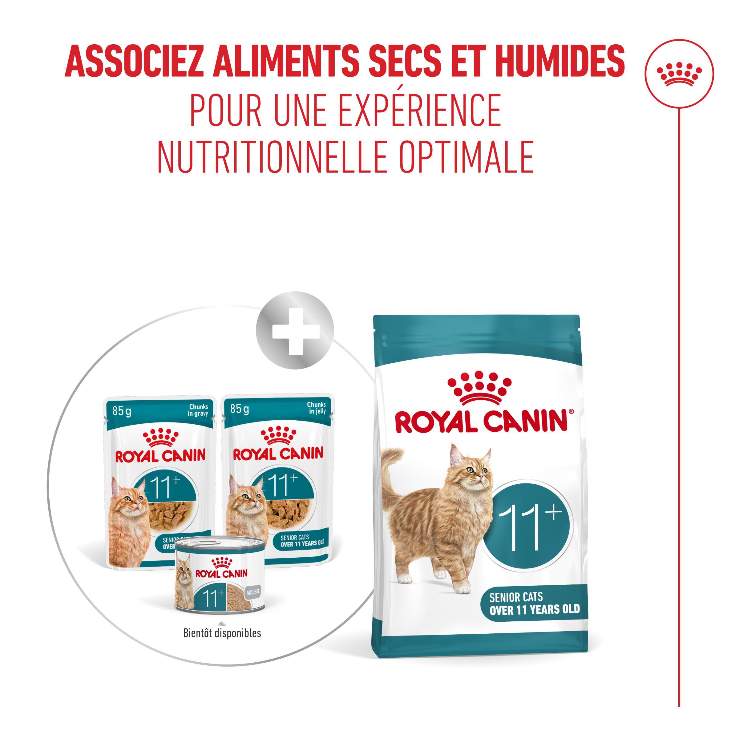 Royal Canin - P&acirc;t&eacute;e en Gel&eacute;e Ageing 11+ pour Chats Senior - 12x85g Image num&eacute;ro 8