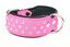 Yogipet - Collier Crystal D&eacute;co pour Chien Rose - T65 51/60cm Indicateur image num&eacute;ro 3