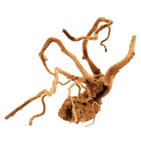 Amtra - Racine Naturelle Red Wood