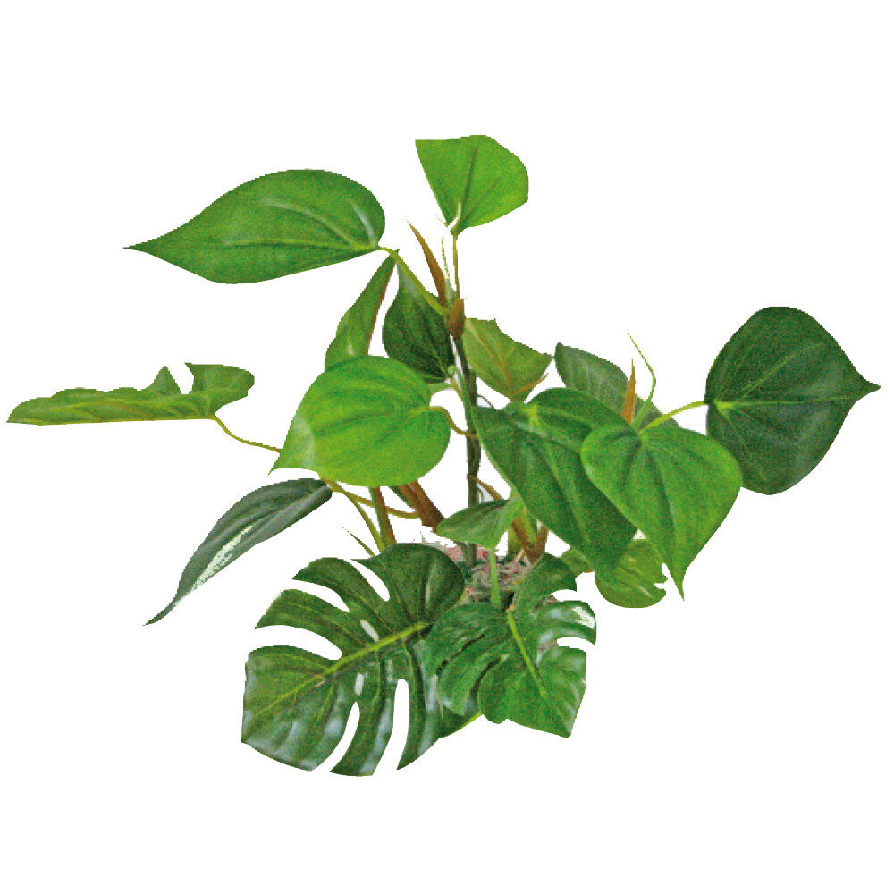 Amtra - D&eacute;coration Plant Replica Anubias - 20cm Image num&eacute;ro 1
